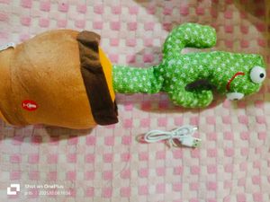 Dancing Cactus Toy