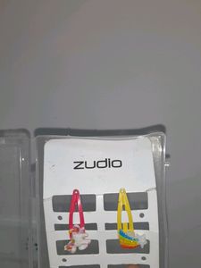 Zudio brand new hair pins