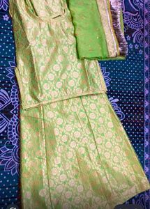 Beautiful Green Brocade rajputi parcha poshak