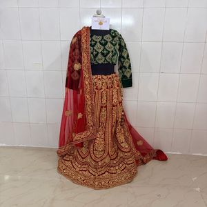 Embroidered Velvet Lehenga Choli Set