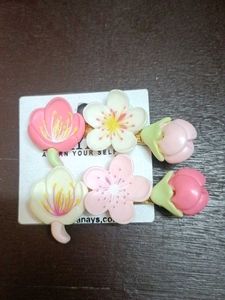 Floral Hair Clips - Set of Two