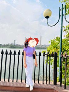 Casual Purple Cropped Top