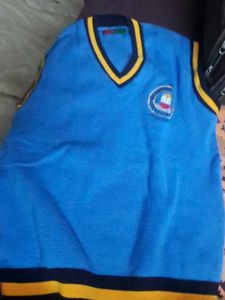 Blue V-Neck Sweater Vest