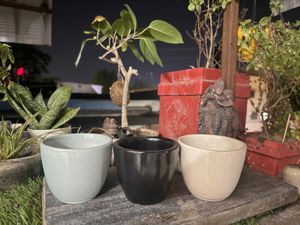 White And  Blue Ceramic Planter With Plate