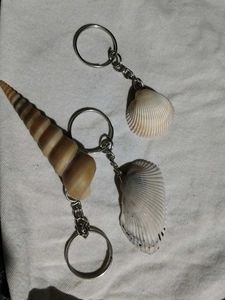 3 Handmade Seashell Keychains