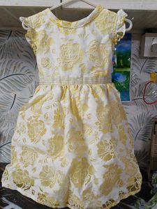 Beautiful Floral Dress for Girls