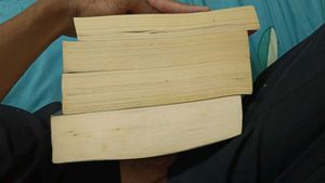 Philip Pullman Book Collection(northern lights)