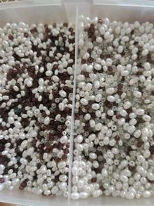 Pearl & Bead Assortment