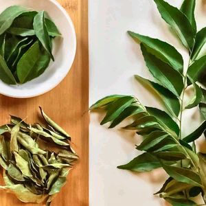 Fresh Curry Leaves Bunch dry