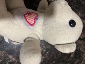 Imported  Soft Toy Teddy