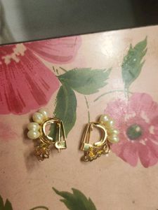 Clip Type Earing