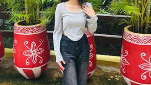 Grey Ribbed Long Sleeve Cropped Top