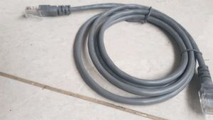 High-Quality Ethernet Cable