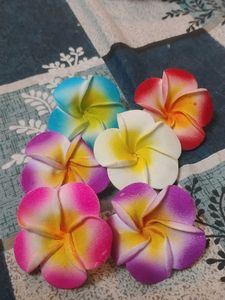 Vibrant Plumeria Hair Clips - Set of 6