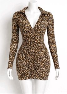Animal Print Mini Dress