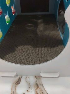 cat house