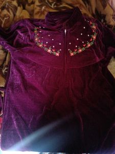Elegant Embroidered Velvet Dress