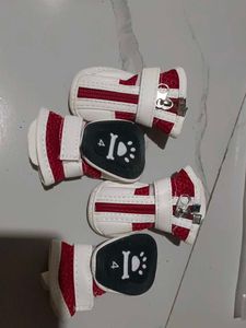 NOOTIE DOG SHOES