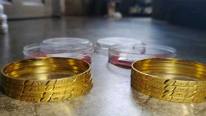 Elegant Gold Bangles Set