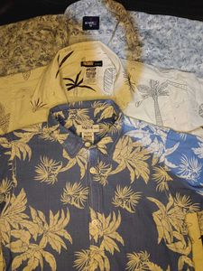 Pack of 3 shirt