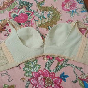 Elegant Lace Trimmed Bra
