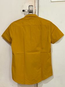 Men's Mustard Yellow Short Sleeve Shirt