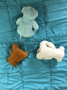 Cute Teddy Bear Trio  🧸 🧸🧸
