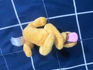 Authentic Disney Pluto plush