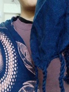 Stylish Blue &amp; Pink Patterned Stole
