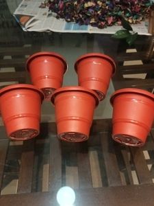 Flower Pots (Set of 5)