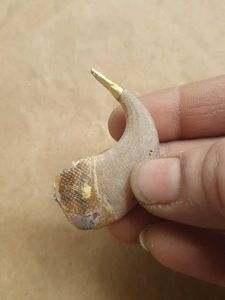original sher k nail with gold dip 100%pure