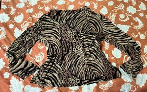 Animal Print Long Sleeve Top