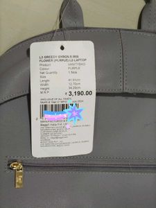 Baggit L Greedy purple solid laptop backpack