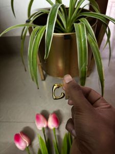 Chic Gold Heart Earrings