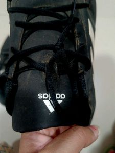 adidas shoes