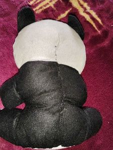 Teddy 🧸 panda 🐼
