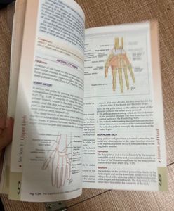 Human Anatomy Textbook - Volume 1 with it’s workbo