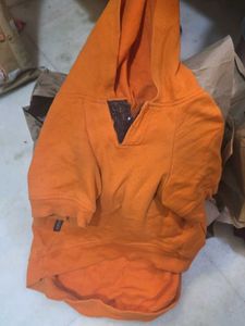 Orange Dog Hoodie