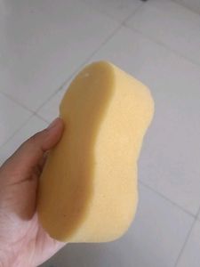 Car Wash Sponge
