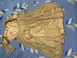 Elegant Golden Ethnic Gown