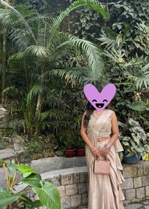 Elegant champagne gold Saree with Embellished Blou