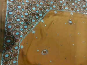Elegant Embellished Saree