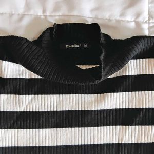 Striped Ribbed turtle Neck Sweater