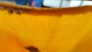 Yellow Kurta with Elephant Print