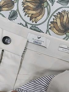Blackberry Classic Beige Casual Pants