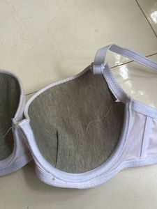 New Strapless Padded Bra