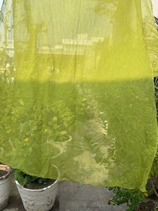 Lightweight Green Dupatta