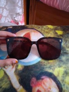 Designer Sunglasses