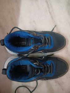 Stylish Blue &amp; Grey Sneakers