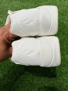 Skechers White Sneakers